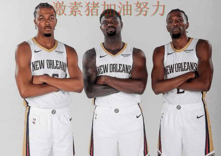 鹈鹕阵容短板暴露让外界看法再次改变